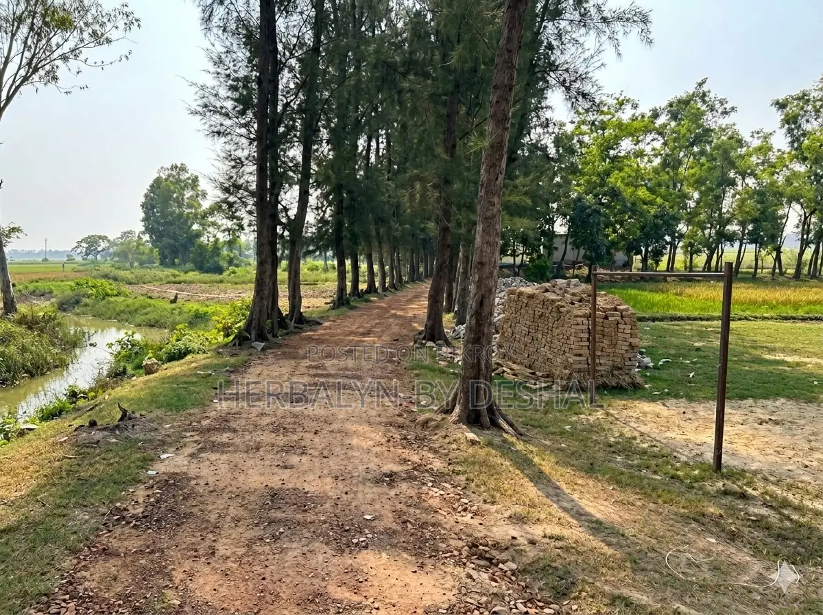 33.86 Decimals of Land for Sale in Uttar Joyara, Chandanaish