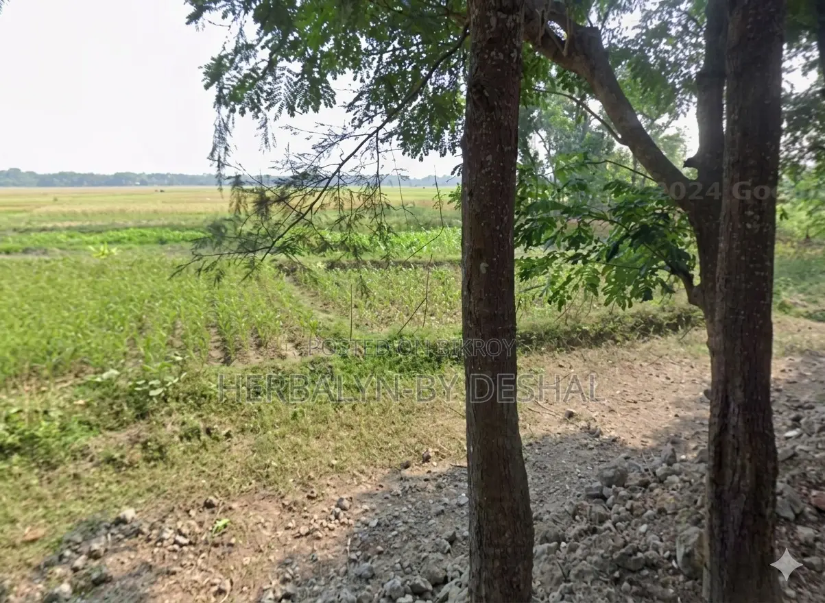 33.86 Decimals of Land for Sale in Uttar Joyara, Chandanaish