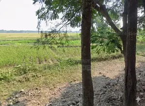 33.86 Decimals of Land for Sale in Uttar Joyara, Chandanaish