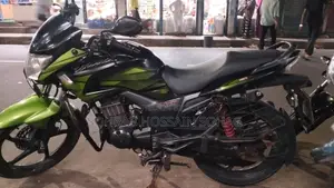 হিরো হাঙ্ক ২০১৯ সবুজ