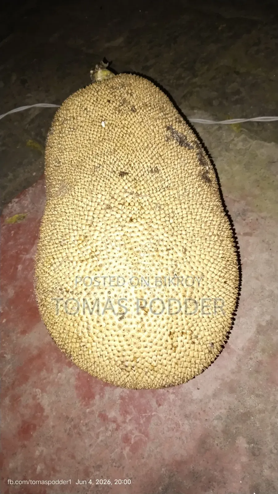 Jackfruit for Sale