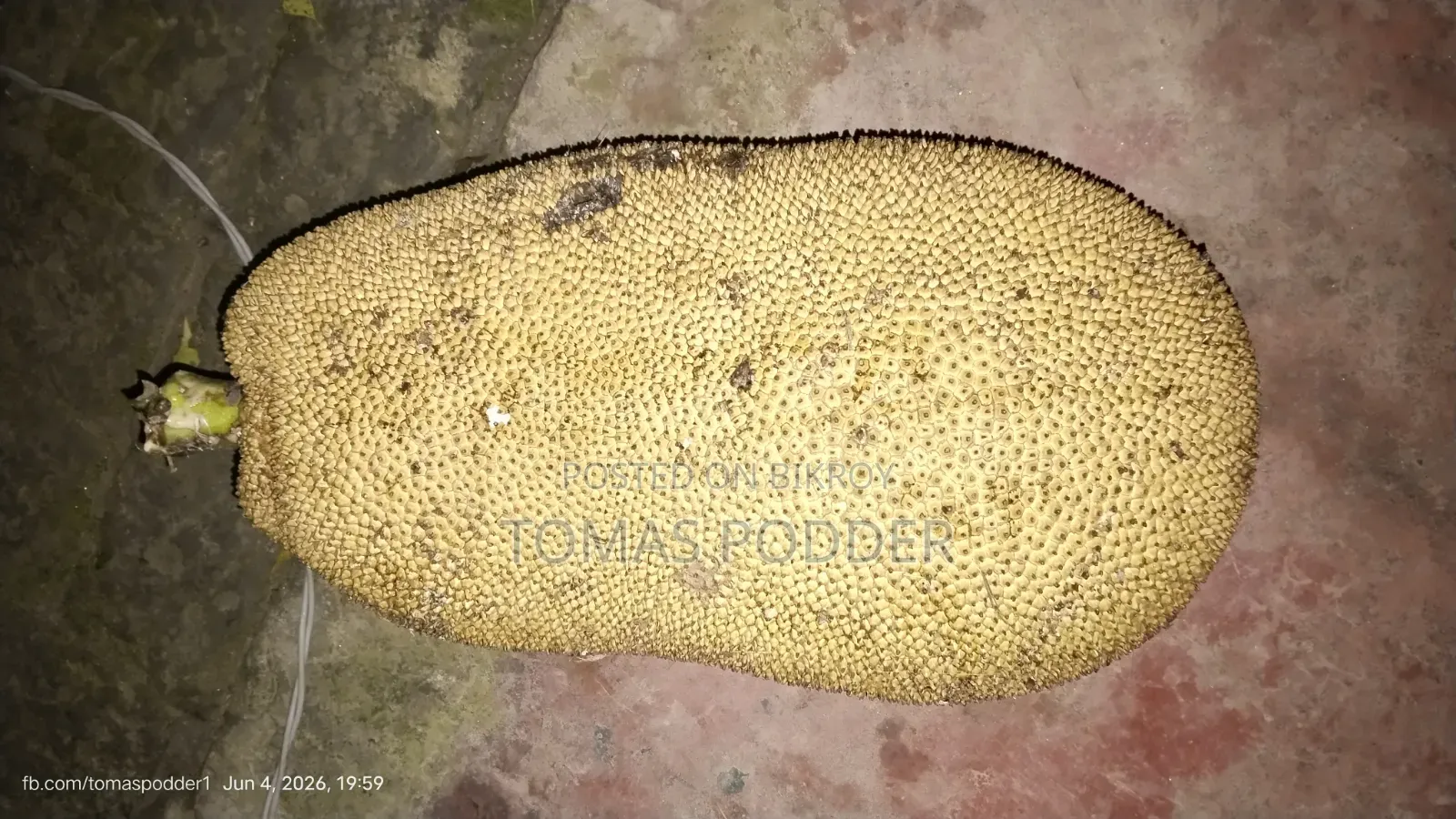 Jackfruit for Sale