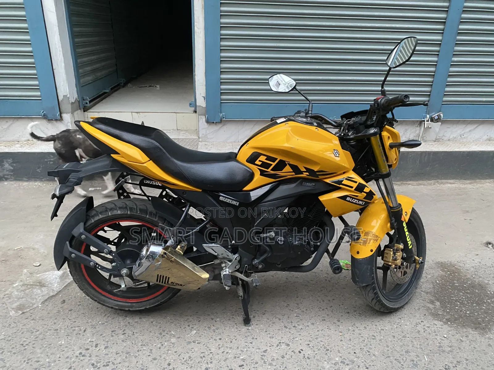 Suzuki Gixxer Monotone 2024 Yellow