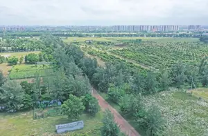 3 Katha South-Facing Plot for Sale in Manda Green Model Town near Motijheel