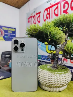 Apple iPhone 15 Pro Max 256 GB সিলভার