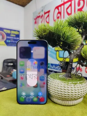 Apple iPhone 15 Pro Max 256 GB Silver