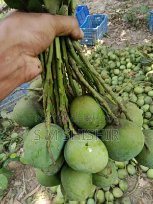 Mango (আম) Formalin Free