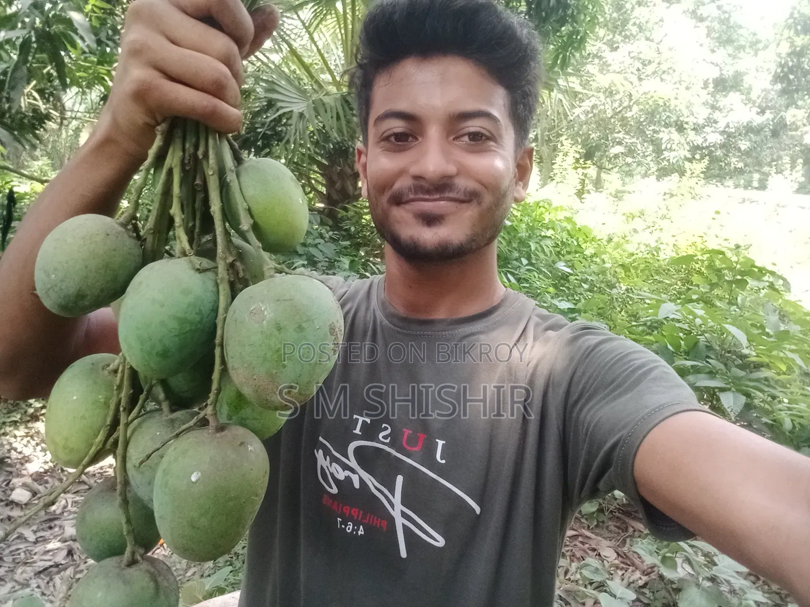 Mango (আম) Formalin Free