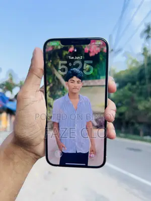 Apple iPhone 12 Pro Max 256 GB Silver