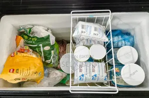 Walton Deep Freezer
