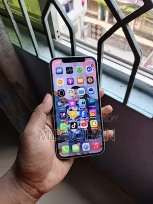 Apple iPhone 12 64 GB Green