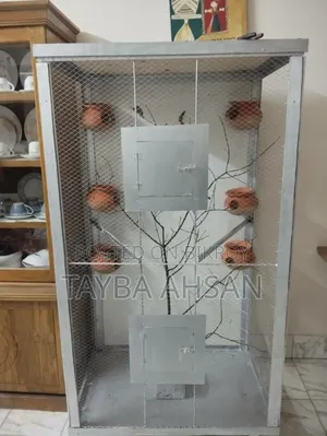 Bird cage for sale