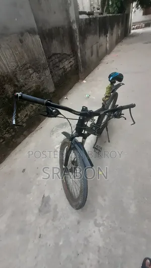 Pheonix Cycle
