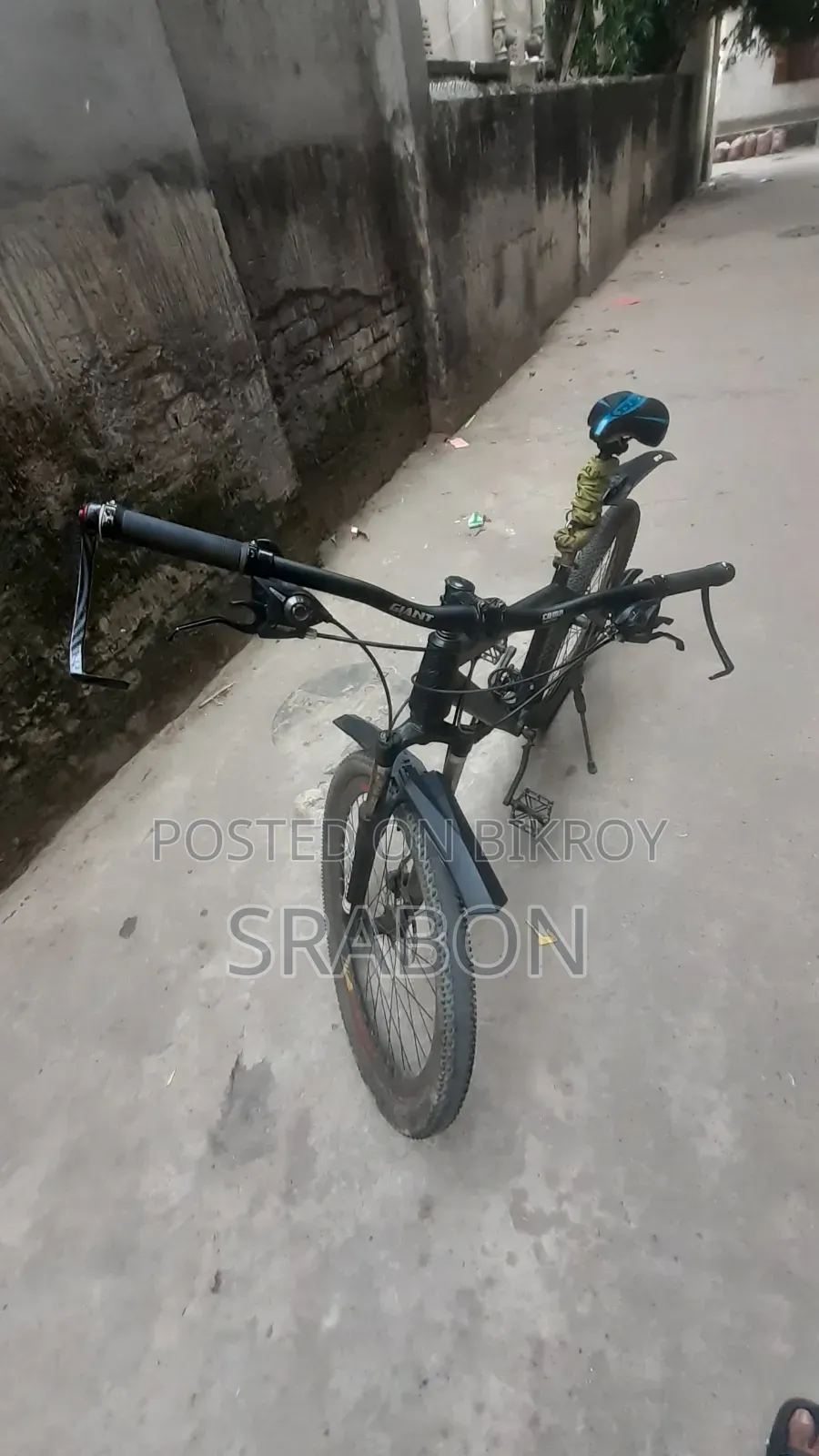 Pheonix Cycle