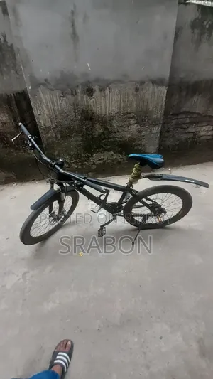 Pheonix Cycle
