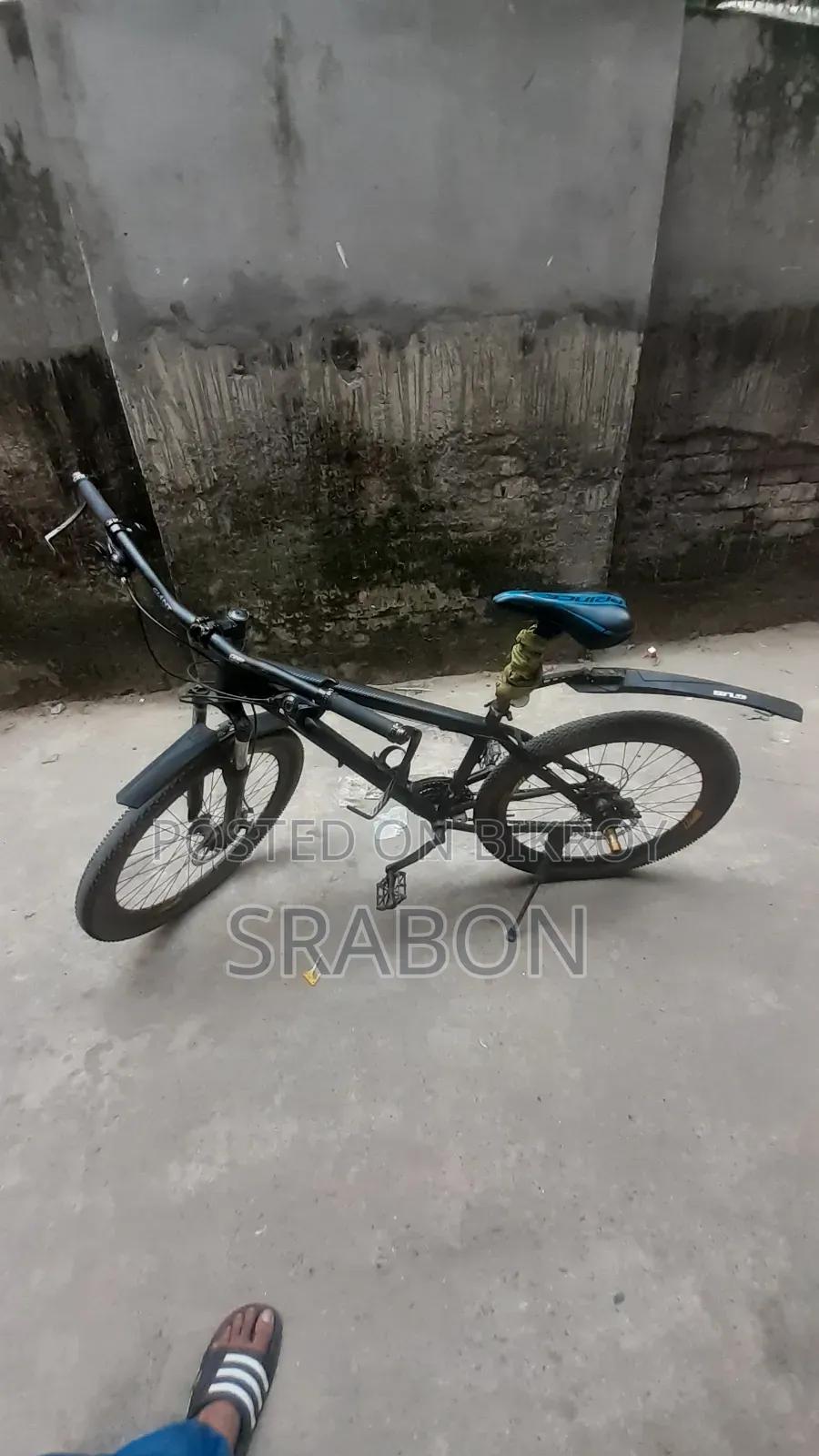 Pheonix Cycle