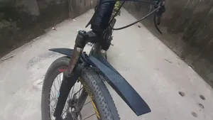 Pheonix Cycle