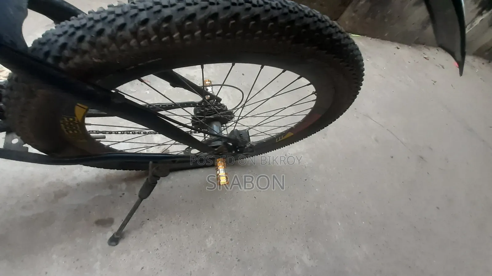 Pheonix Cycle