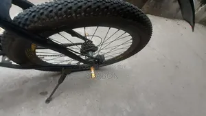 Pheonix Cycle
