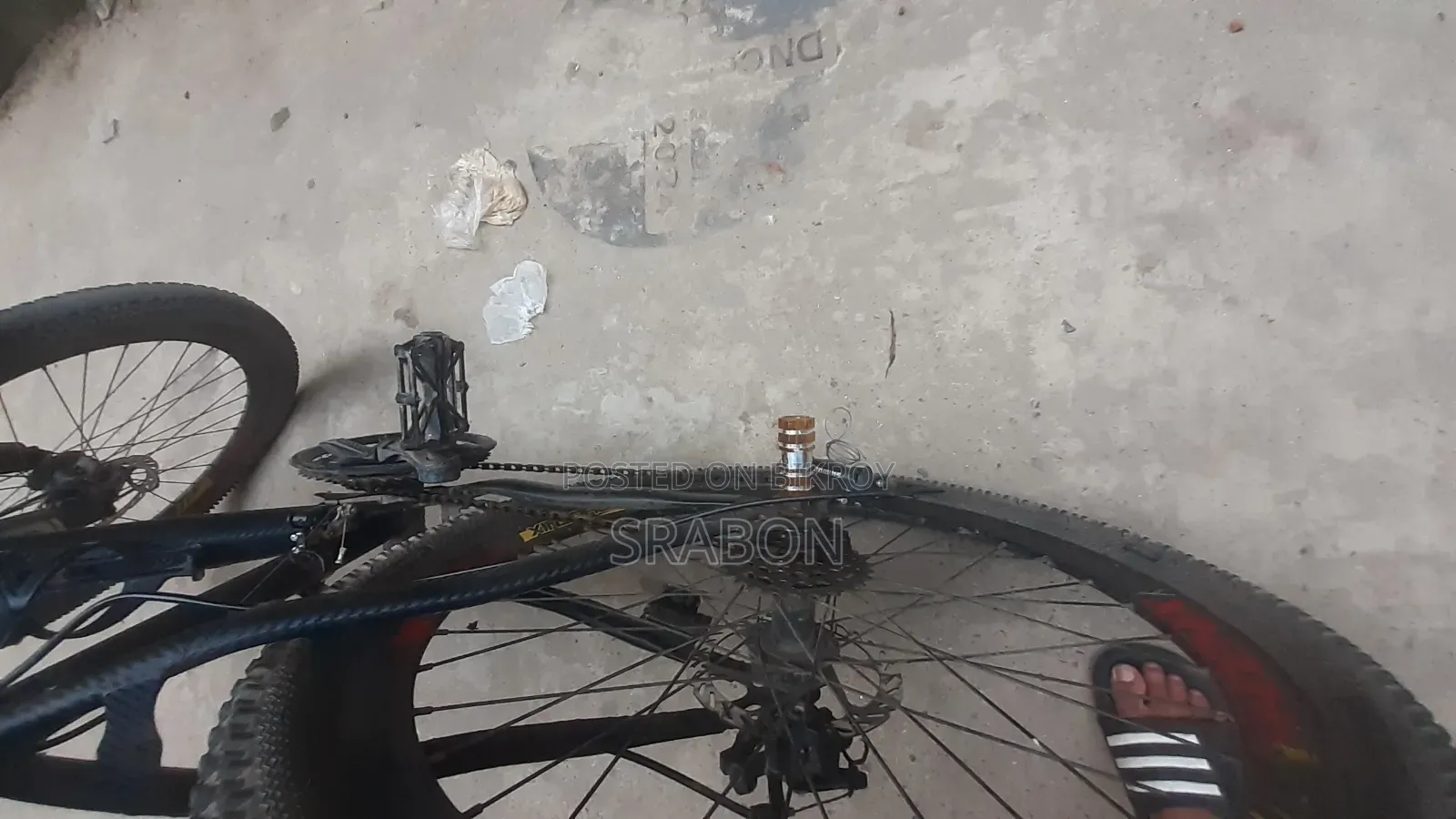 Pheonix Cycle