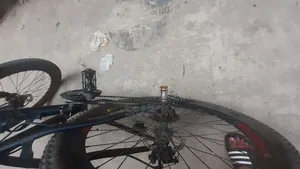 Pheonix Cycle