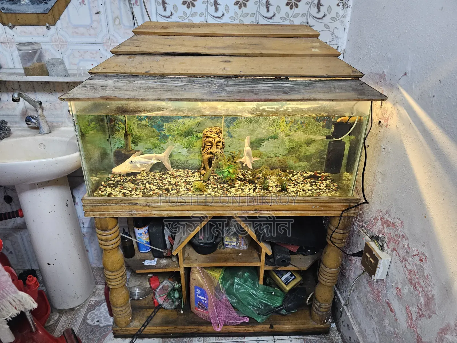 Aquarium
