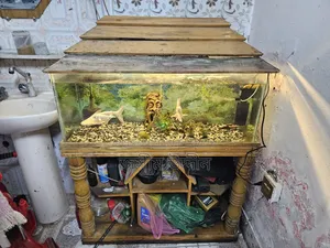 Aquarium