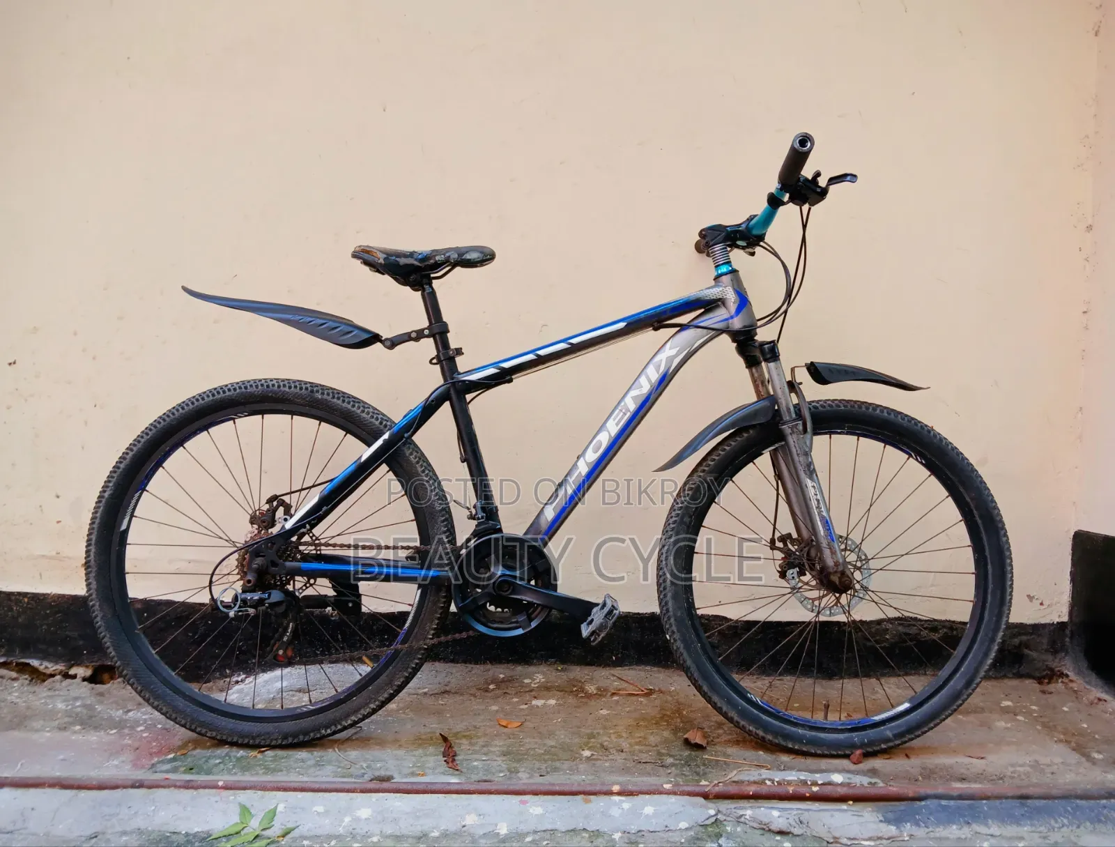 Running Cycle 26"