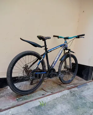 Running Cycle 26"
