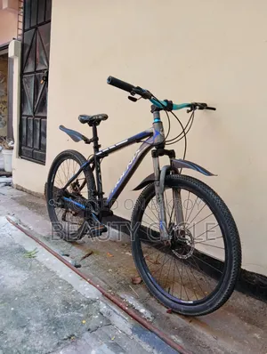 Running Cycle 26"