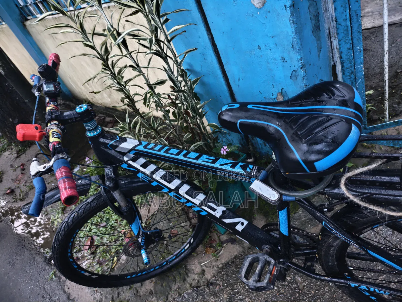 Cycle Vanom