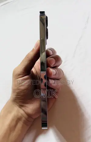 অ্যাপল আইফোন ১৩ প্রো ম্যাক্স ১২৮ জিবি সিলভার