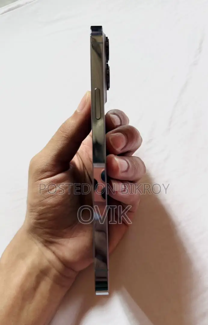 অ্যাপল আইফোন ১৩ প্রো ম্যাক্স ১২৮ জিবি সিলভার
