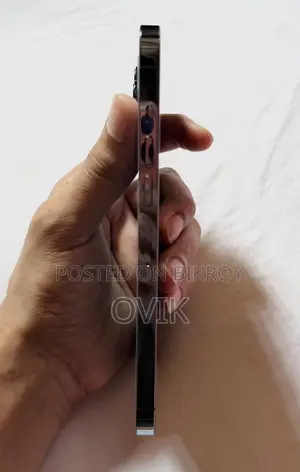 অ্যাপল আইফোন ১৩ প্রো ম্যাক্স ১২৮ জিবি সিলভার