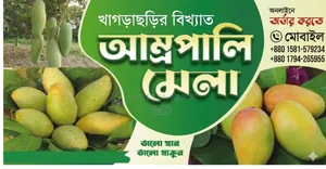 🥭 Famous Amrapali Mango from Khagrachari 🥭