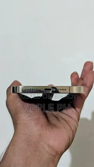 Apple iPhone 13 Pro Max 256 GB Gold
