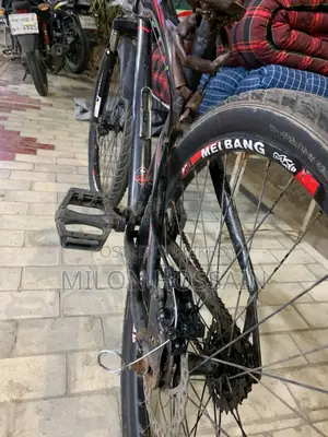 Fresh Cycle