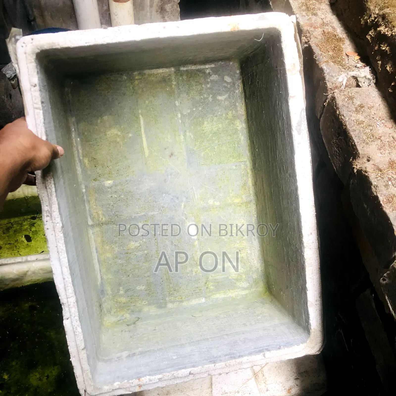 Guppy fish breeding tanks