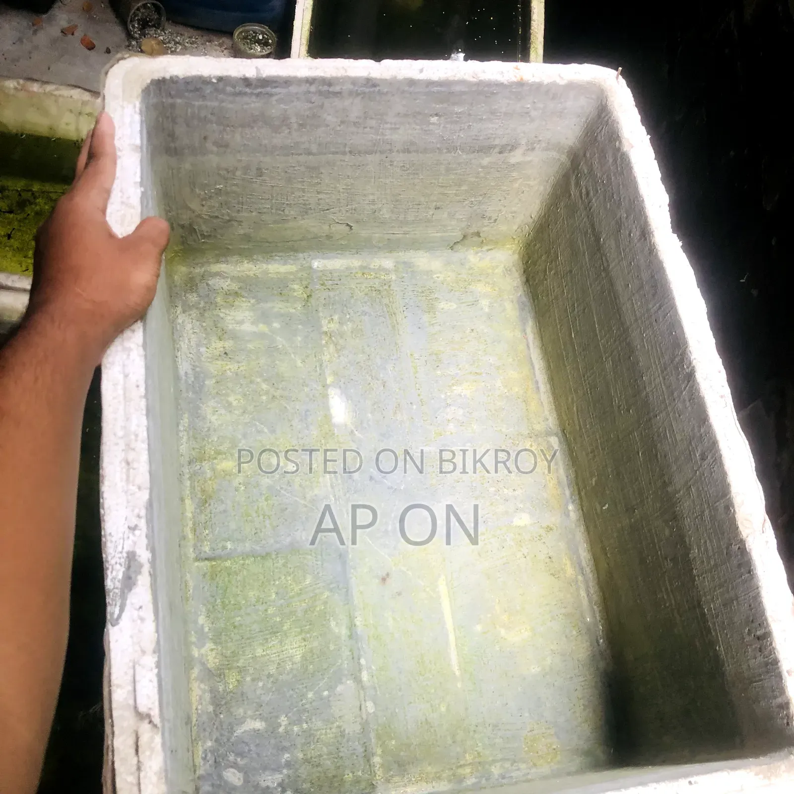 Guppy fish breeding tanks