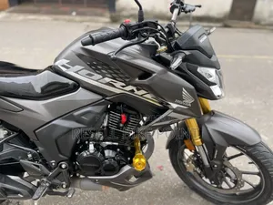 হোন্ডা হর্নেট ২০২৫ গ্রে