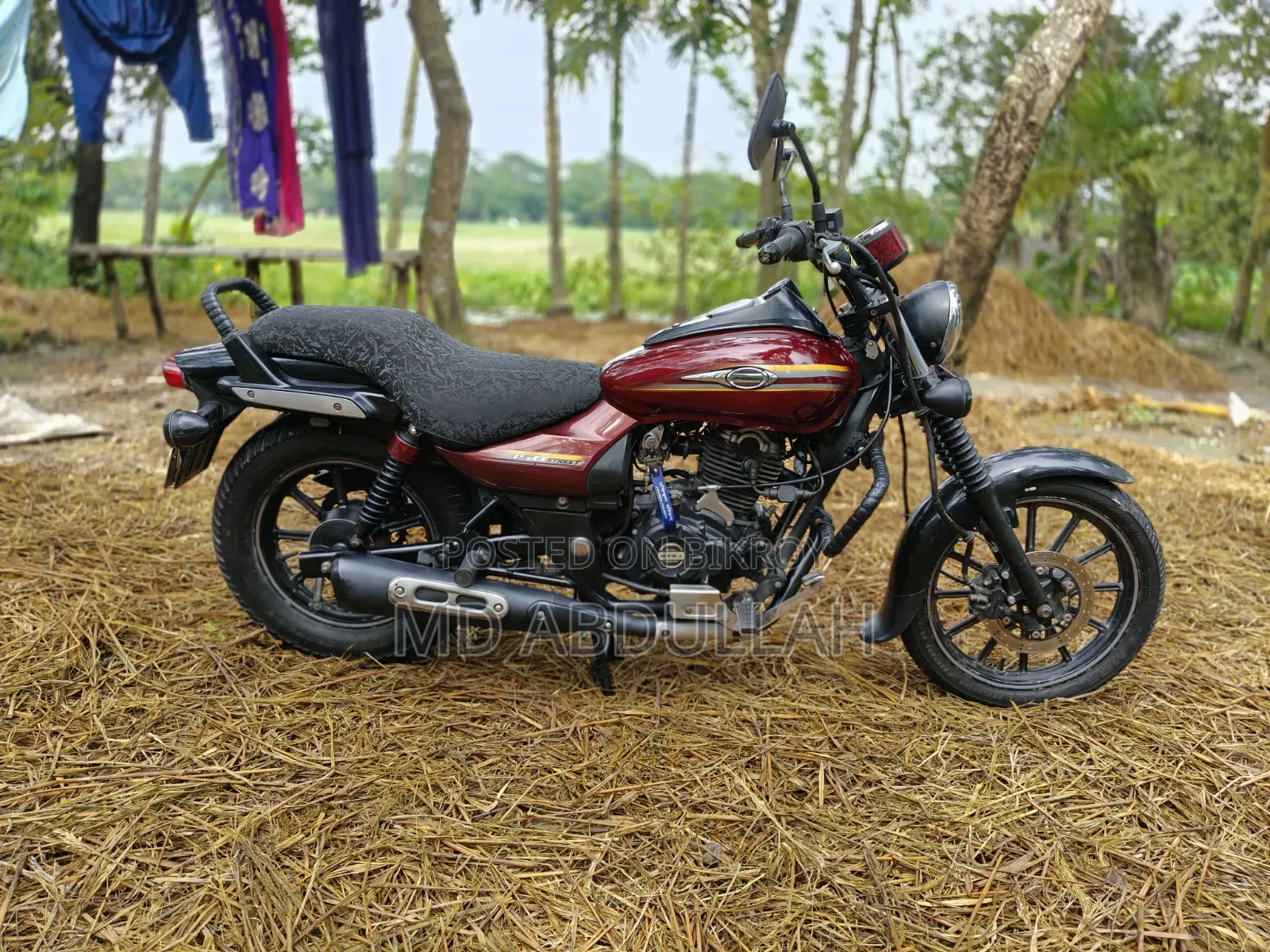 Bajaj Avenger 150 Street 2018 Red