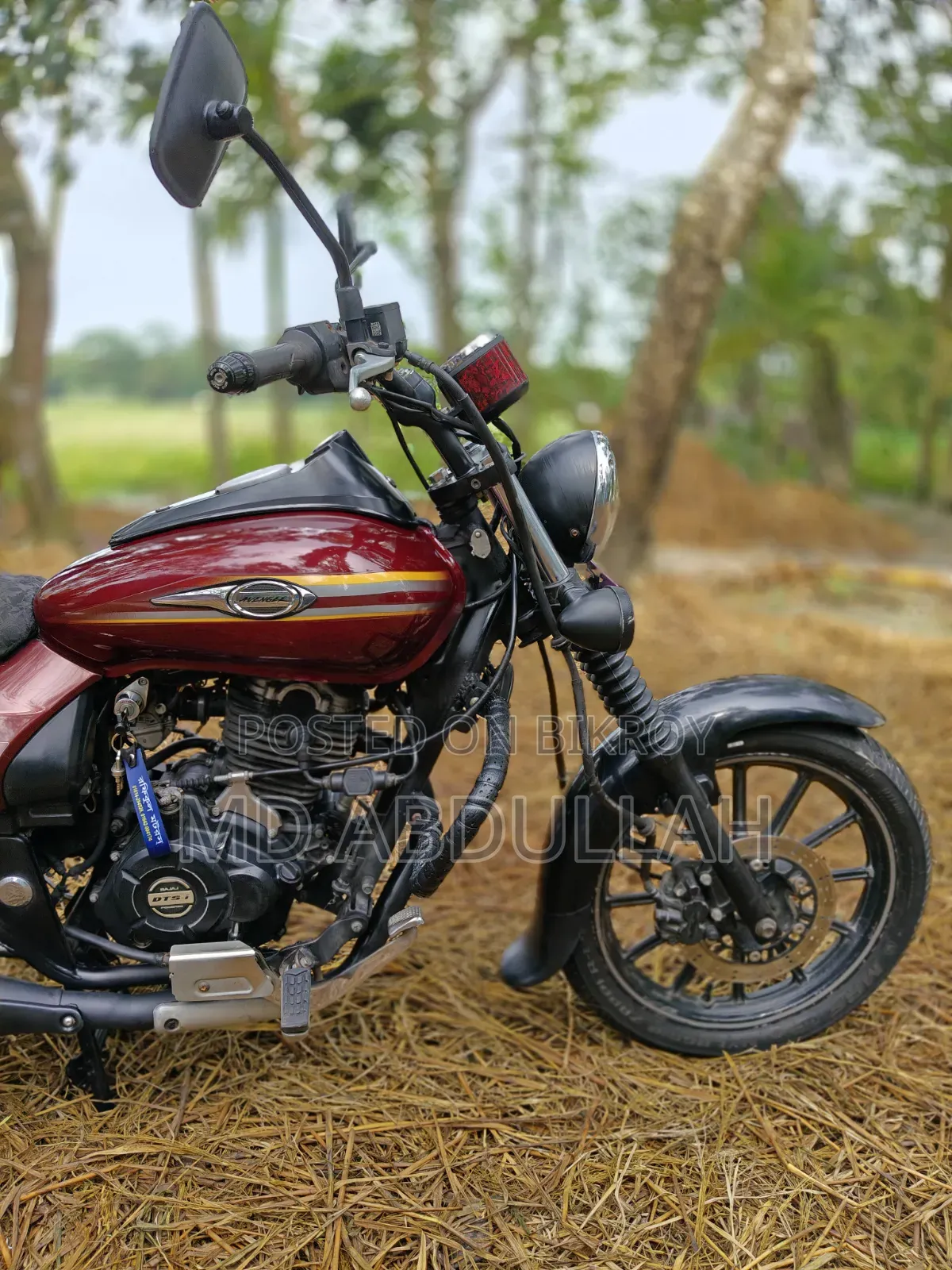 Bajaj Avenger 150 Street 2018 Red