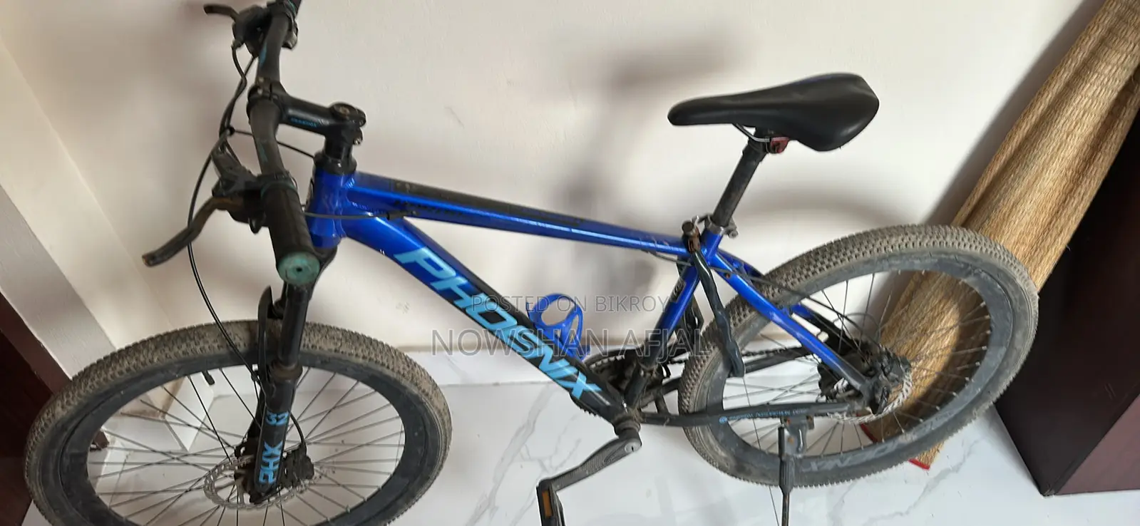 Phonex Cycle