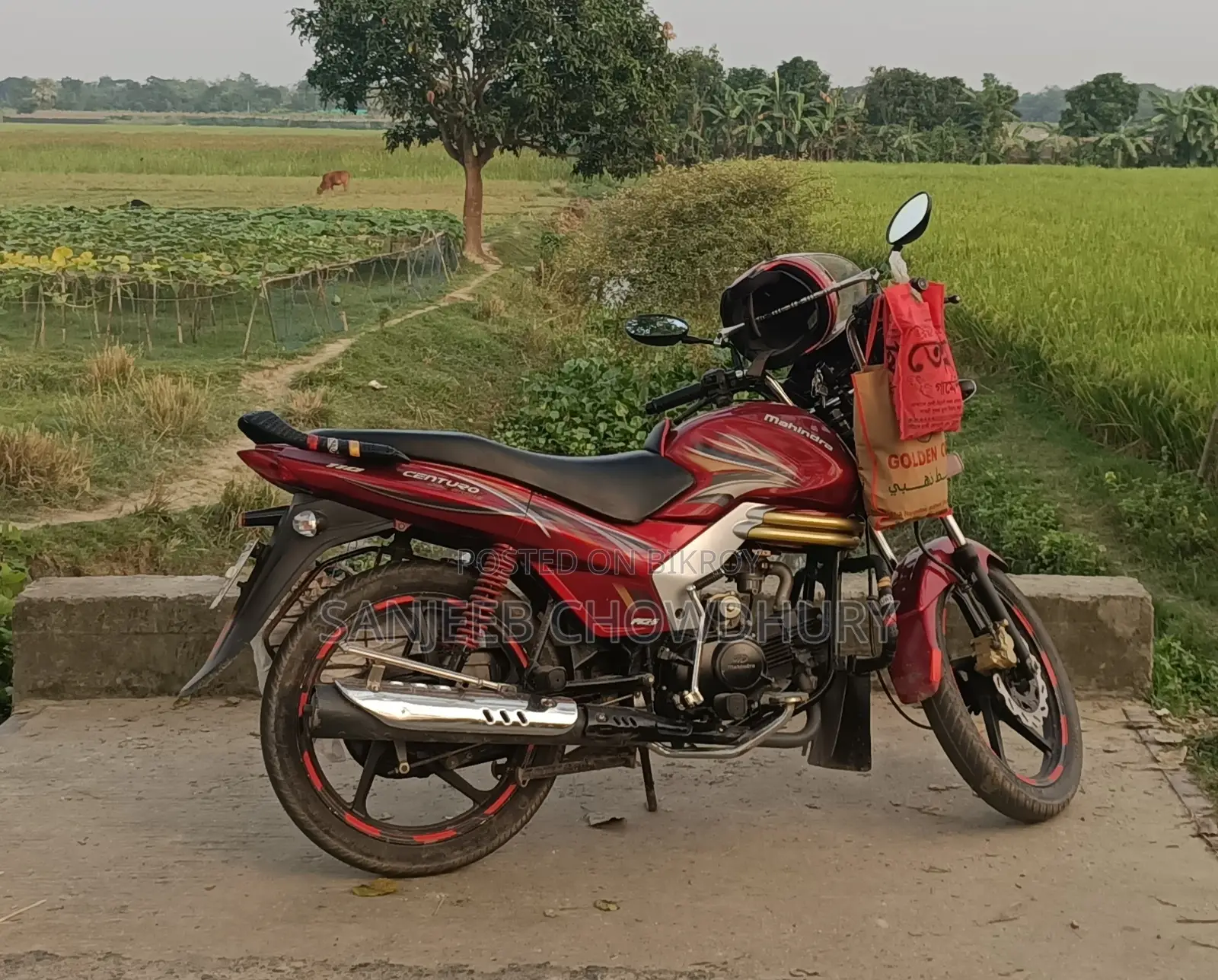 Mahindra Centuro 2017 Red