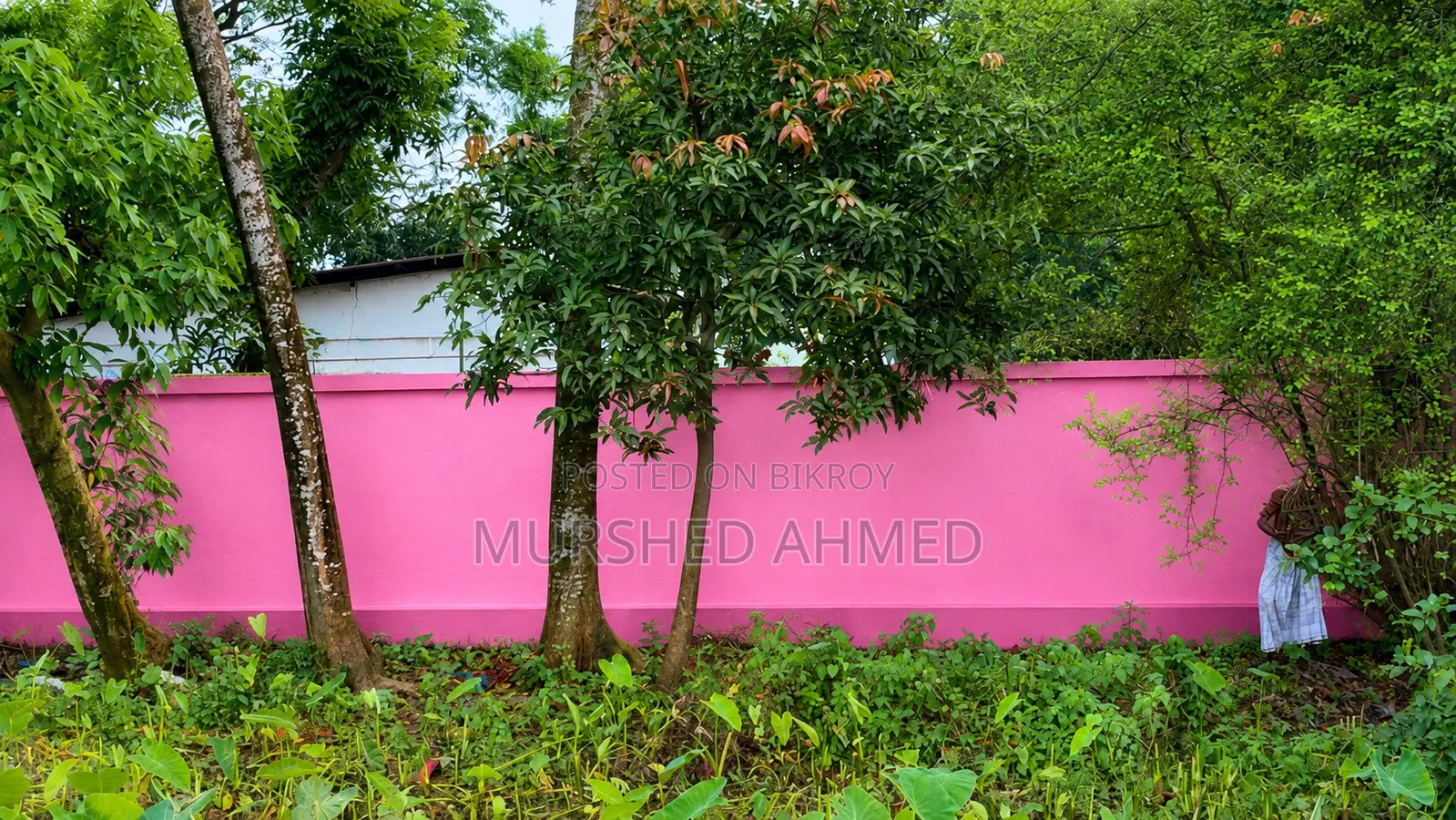 Land With 6-Room Colony for Urgent Sale