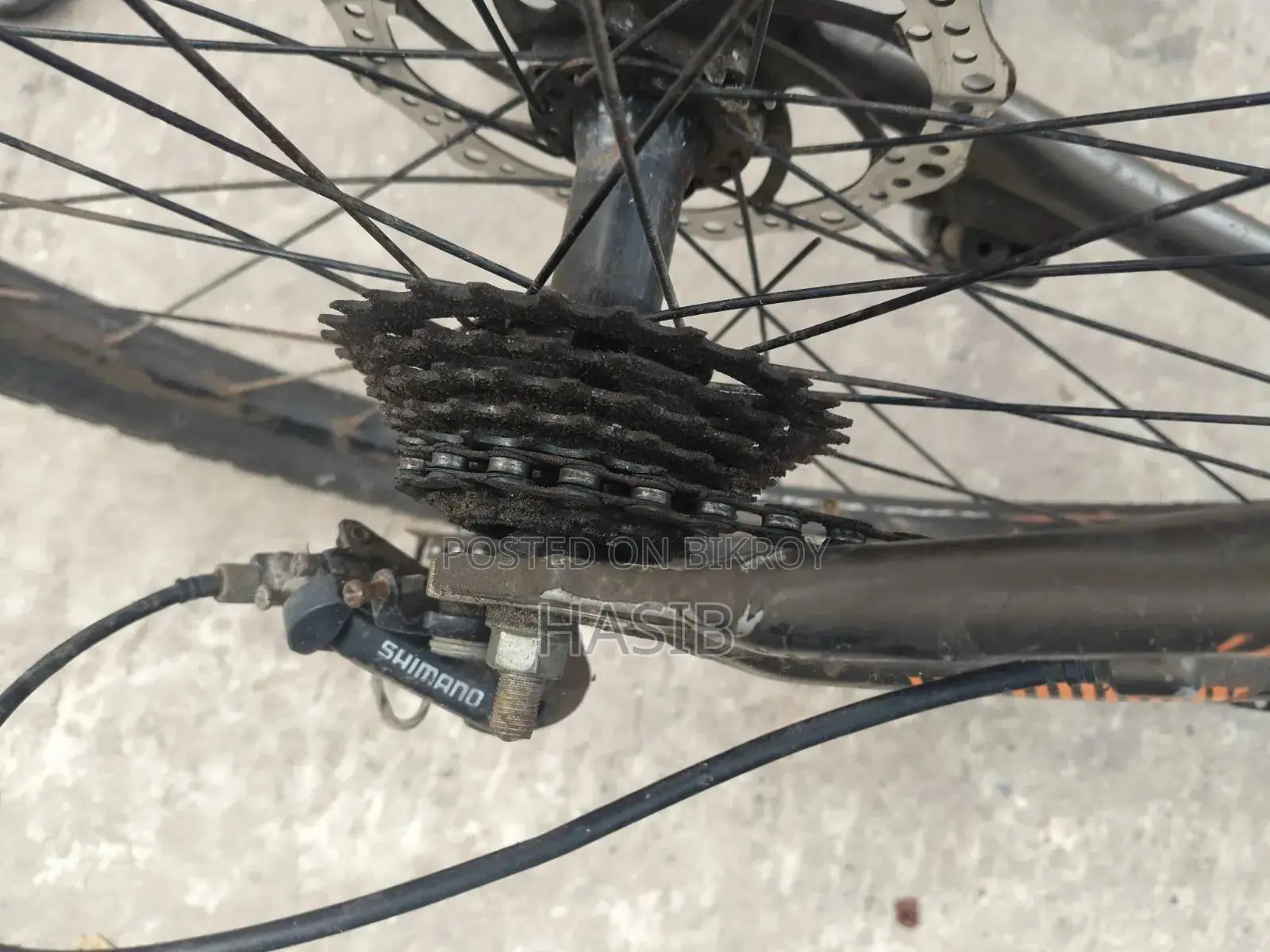 Phoenix Cycle