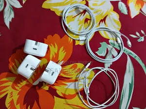 Apple Charger