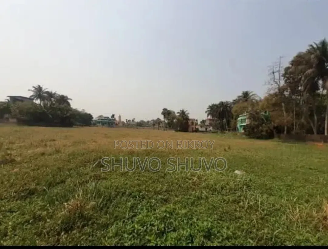 10 Bigha Land