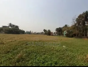 ১০ বিঘা জমি