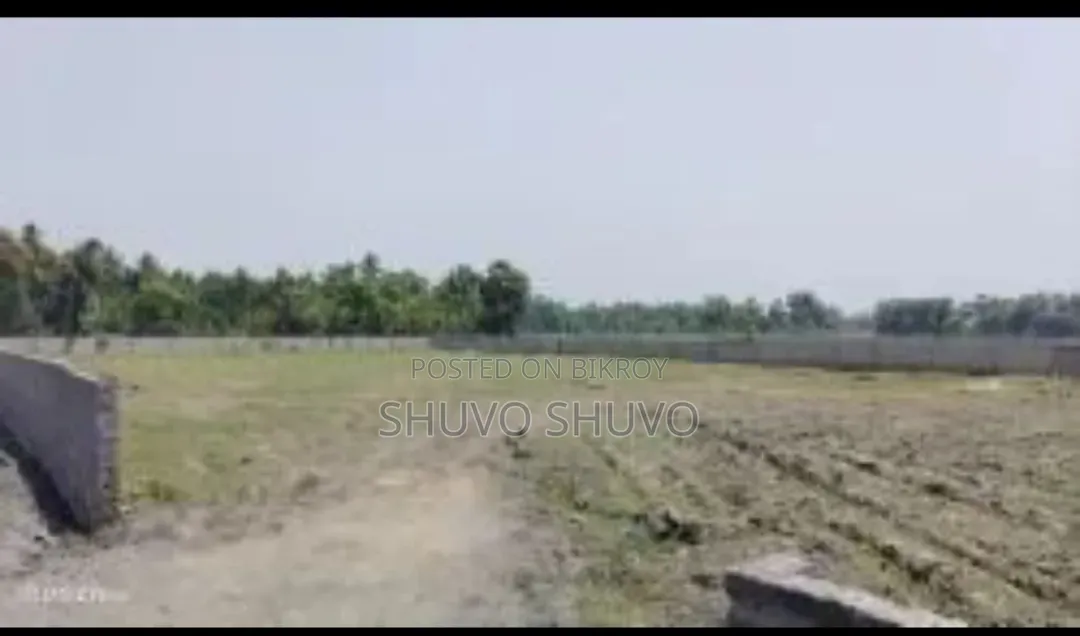 10 Bigha Land